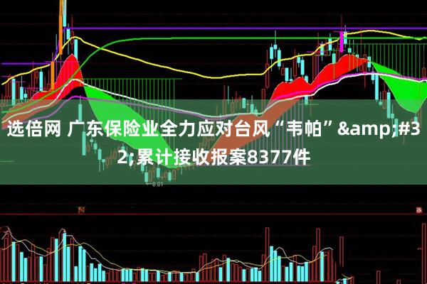 选倍网 广东保险业全力应对台风“韦帕”&#32;累计接收报案8377件