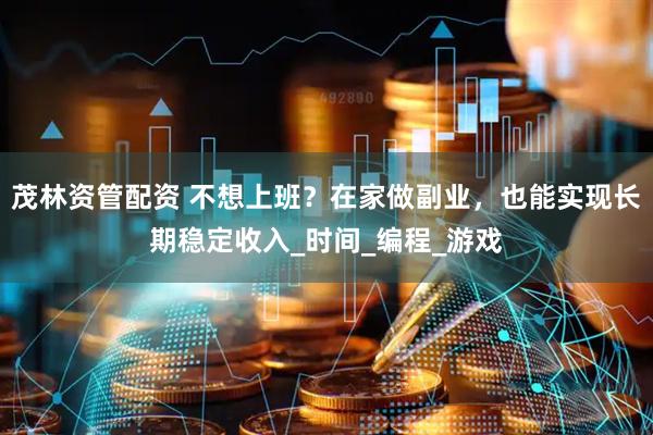 茂林资管配资 不想上班？在家做副业，也能实现长期稳定收入_时间_编程_游戏