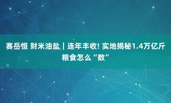 赛岳恒 财米油盐｜连年丰收! 实地揭秘1.4万亿斤粮食怎么“数”