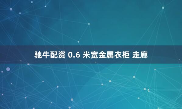 驰牛配资 0.6 米宽金属衣柜 走廊