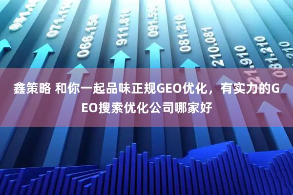 鑫策略 和你一起品味正规GEO优化，有实力的GEO搜索优化公司哪家好
